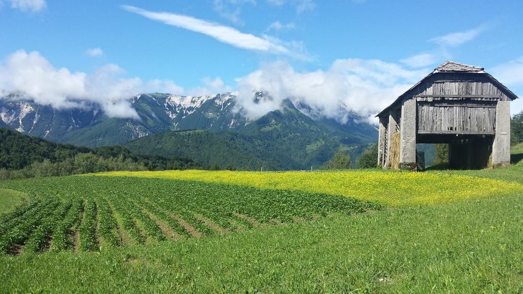 Apartmaji Pr-Gujlu Sela Nad Podmelcem 5220 Tolmin Podmelec Exterior foto