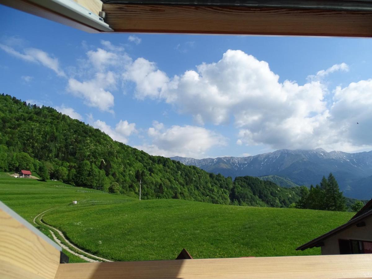 Apartmaji Pr-Gujlu Sela Nad Podmelcem 5220 Tolmin Podmelec Exterior foto